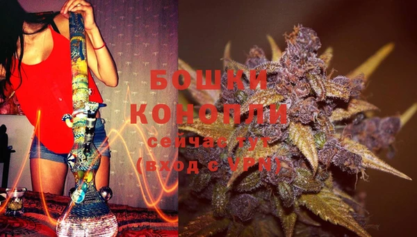 COCAINE Богородицк