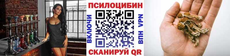 Галлюциногенные грибы Psilocybe  хочу   Велиж 