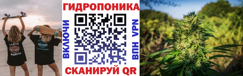 Шишки марихуана марихуана  блэк спрут ONION  Велиж 